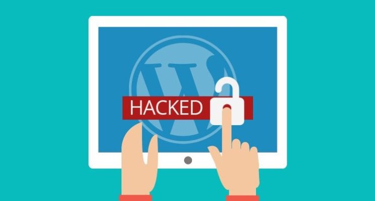 بکدور در وردپرس